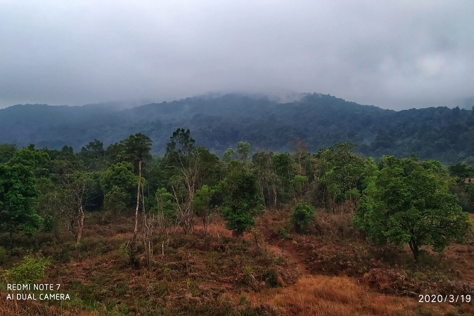 ವಯನಾಡಿನ ದುರಂತ – ಒಂದು ಪಾಠವಾಗಬಹುದೇ?