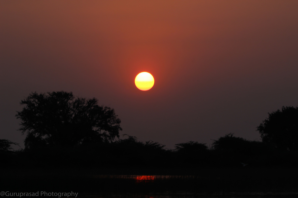 ನೀವೂ ಕಾನನಕ್ಕೆ ಬರೆಯಬಹುದು