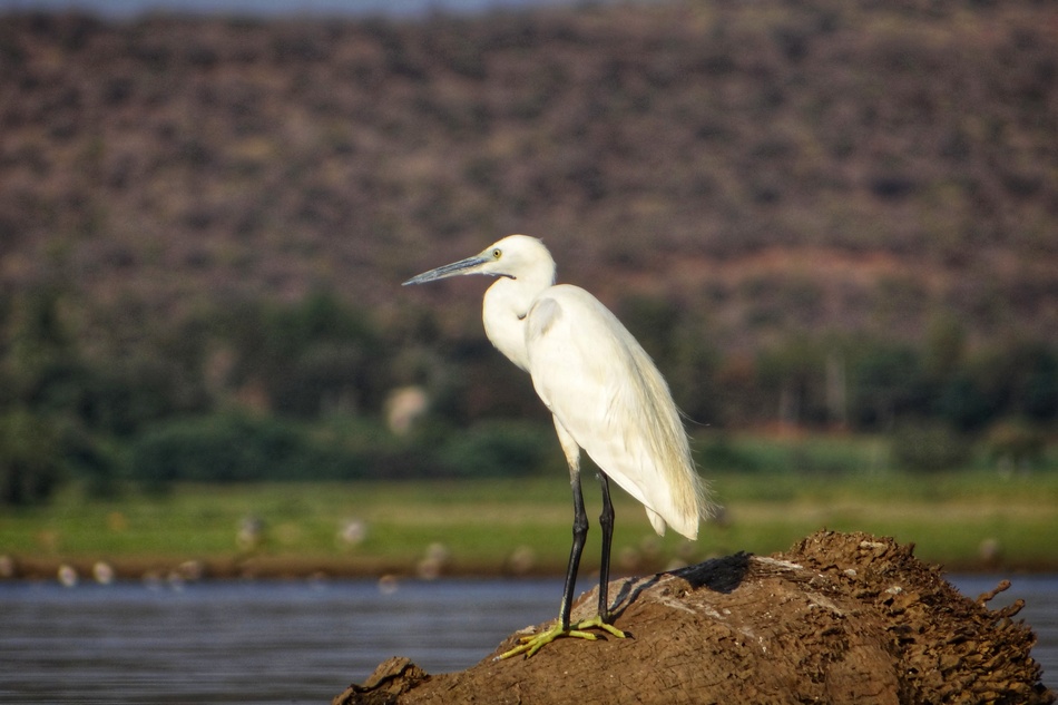 ಪ್ರಕೃತಿ ಬಿಂಬ