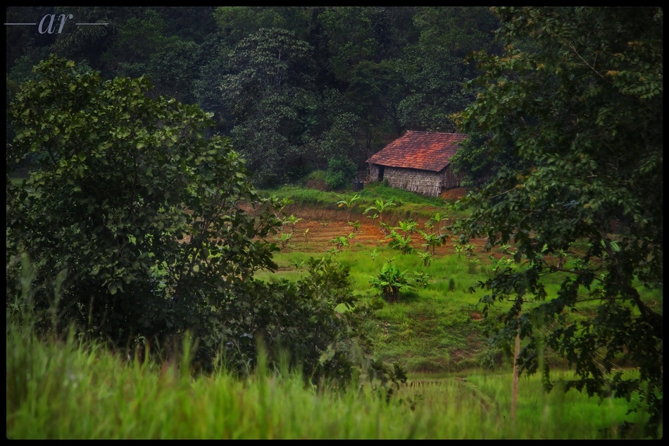 ಹೊನ್ನ – ಮಿಕ ಬೇಟೆ