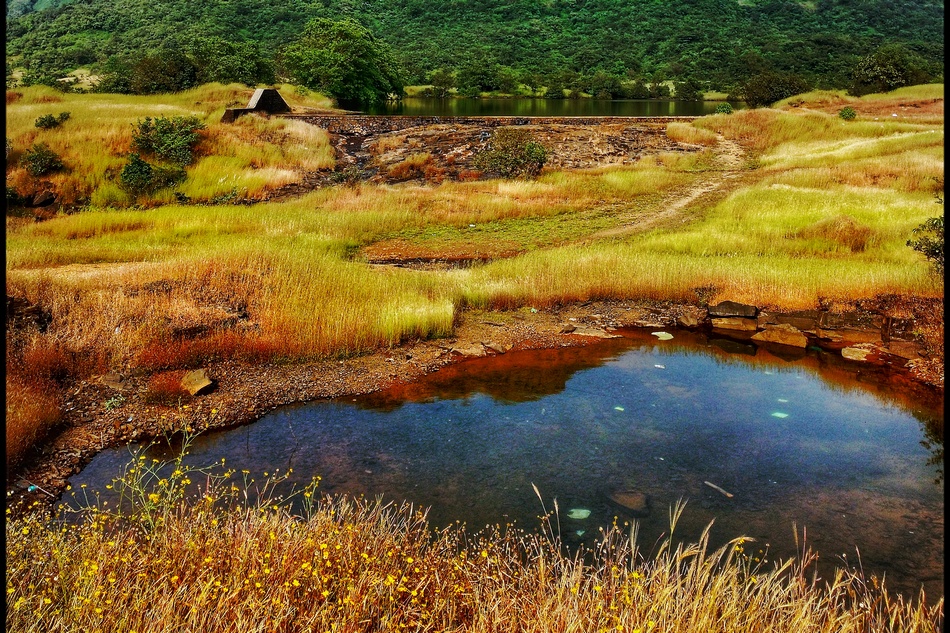 ನೀವೂ ಕಾನನಕ್ಕೆ ಬರೆಯಬಹುದು