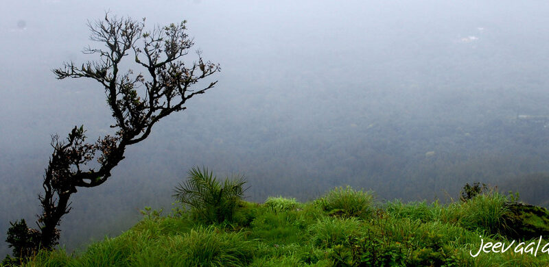 ಅದೊಂದು ಬೇರೆಯದೇ ಅನುಭೂತಿ