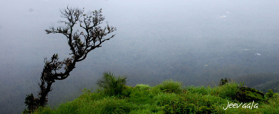 ಅದೊಂದು ಬೇರೆಯದೇ ಅನುಭೂತಿ