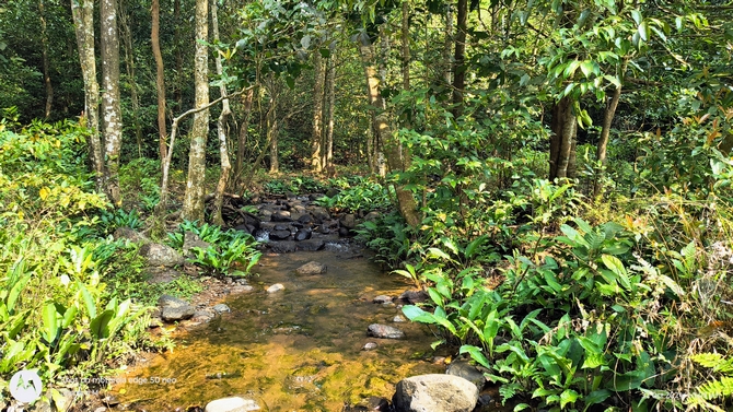 ನೀವೂ ಕಾನನಕ್ಕೆ ಬರೆಯಬಹುದು