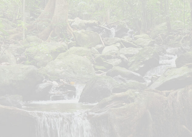 ಪರಿಸರ ಉಳಿಸಿ