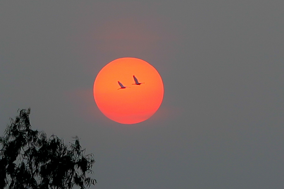 ಹೀಗೊಂದು ಸಂಜೆ