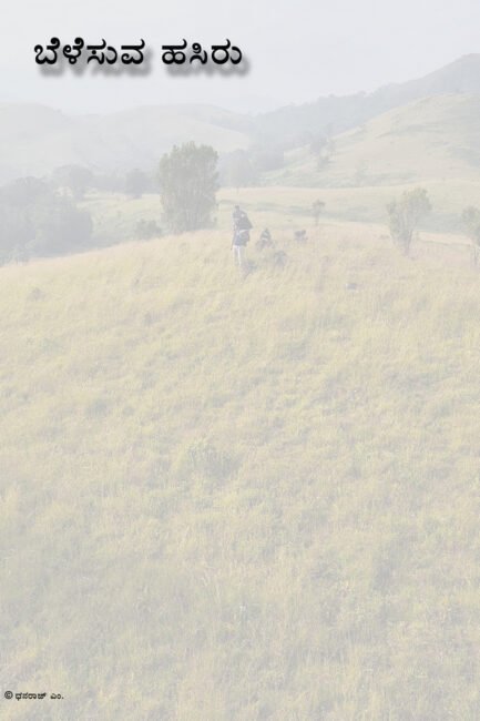 ಬೆಳೆಸುವ ಹಸಿರು
