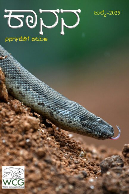 ಕಾನನ – ಜುಲೈ – 2025