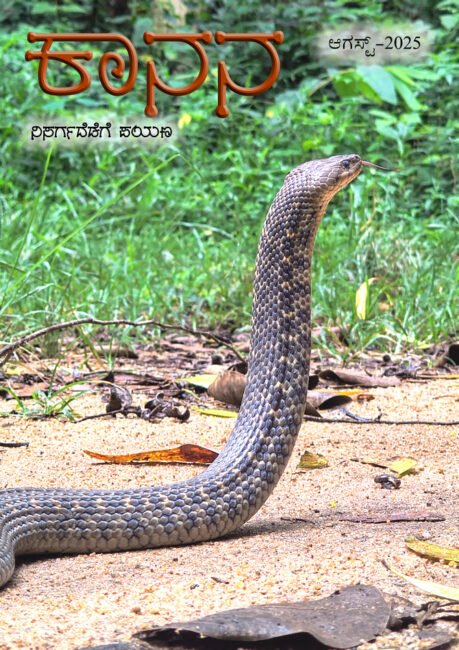 ಕಾನನ – ಆಗಸ್ಟ್ – 2025