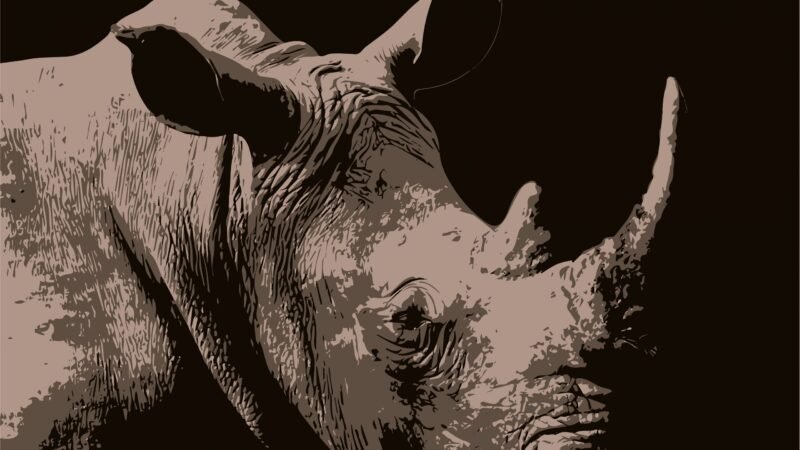 ನೀವೂ ಕಾನನಕ್ಕೆ ಬರೆಯಬಹುದು