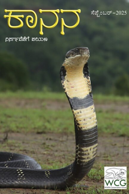 ಕಾನನ – ಸೆಪ್ಟೆಂಬರ್ – 2025