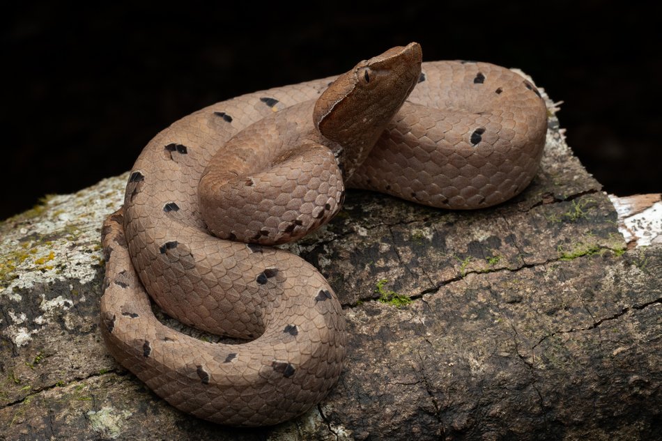 ಪ್ರಕೃತಿ ಬಿಂಬ