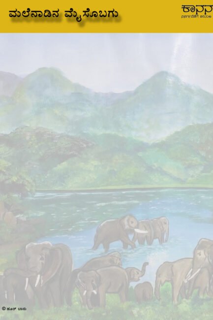 ಮಲೆನಾಡಿನ ಮೈಸೊಬಗು