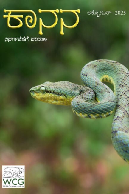 ಕಾನನ – ಅಕ್ಟೋಬರ್ – 2025