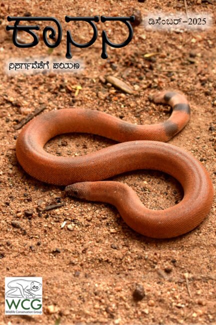 ಕಾನನ – ಡಿಸೆಂಬರ್ 2025