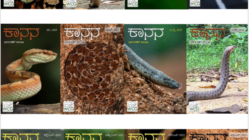 ಕಾನನ 2025ರ ಮುಖ ಪುಟಗಳು