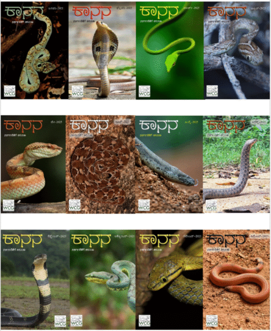 ಕಾನನ 2025ರ ಮುಖ ಪುಟಗಳು