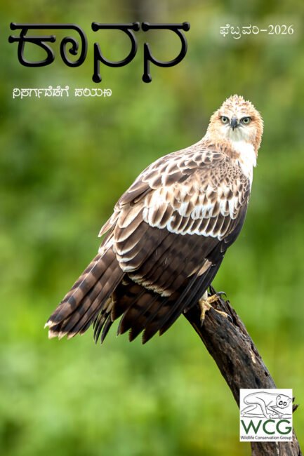 ಕಾನನ – ಫೆಬ್ರವರಿ – 2026