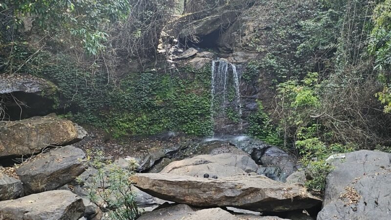 ನೀವೂ ಕಾನನಕ್ಕೆ ಬರೆಯಬಹುದು