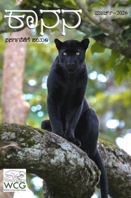 ಕಾನನ – ಮಾರ್ಚ್ – 2026