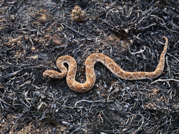ಗಮನಿಸದಿದ್ದರೆ ಗರಗಸ ನಮ್ಮ ಜೀವನ ಸೇರುವುದು ಆಗಸ.