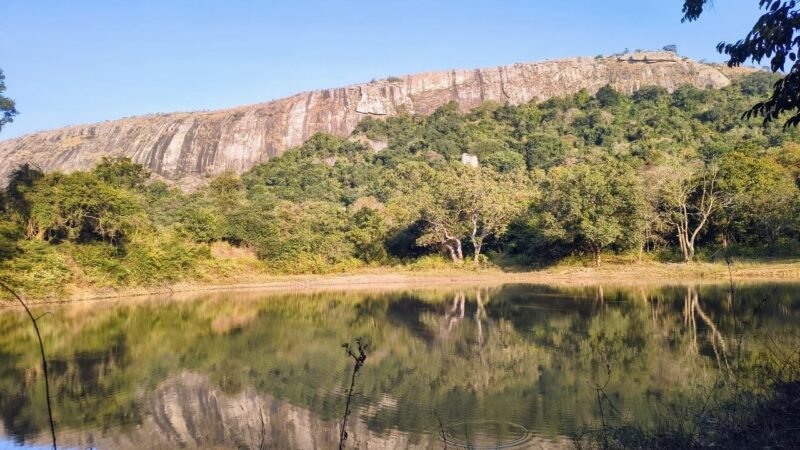 ನೀವೂ ಕಾನನಕ್ಕೆ ಬರೆಯಬಹುದು
