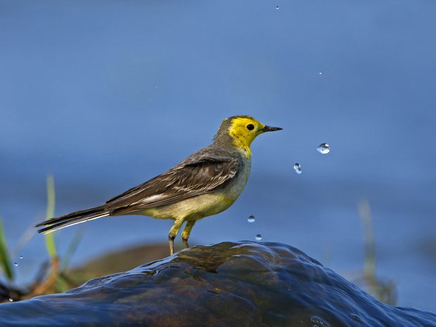 ಪ್ರಕೃತಿಯ ಮಡಿಲಲ್ಲಿ