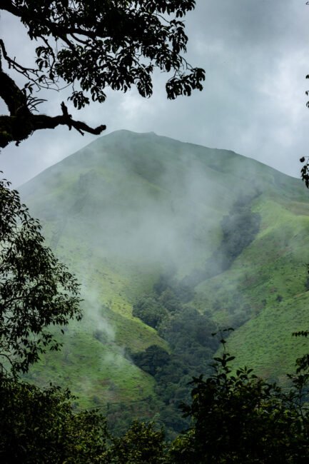 ಹೊಸ ಉಸಿರು