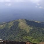 ಕಾಡಿನ ನೈಸರ್ಗಿಕ ದೃಶ್ಯ – ಪರಿಸರ ಸಂರಕ್ಷಣೆಯ ಮಹತ್ವ (Importance of forests)