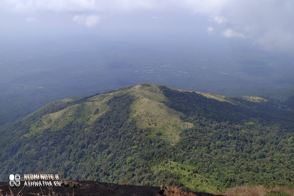 ಕಾಡಿನ ನೈಸರ್ಗಿಕ ದೃಶ್ಯ – ಪರಿಸರ ಸಂರಕ್ಷಣೆಯ ಮಹತ್ವ (Importance of forests)