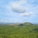 ಹಸಿರು ಭೂಮಿಯ ಸಂಕೇತಾತ್ಮಕ ಚಿತ್ರ