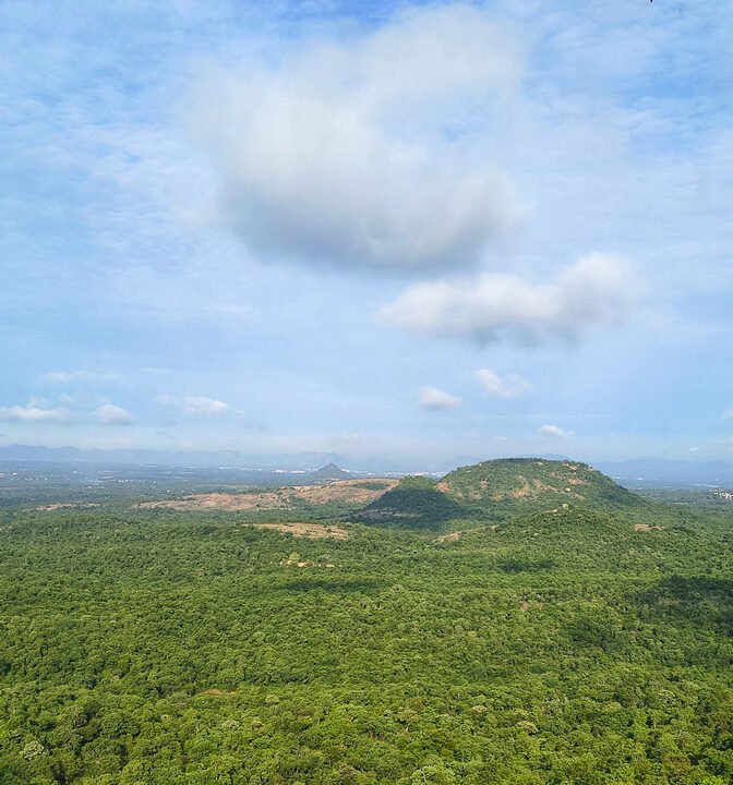 ಹಸಿರು ಭೂಮಿಯ ಸಂಕೇತಾತ್ಮಕ ಚಿತ್ರ