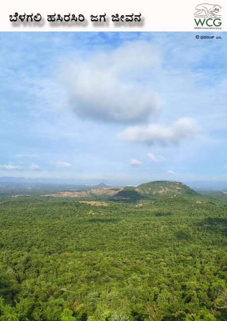 ಹಸಿರು ಭೂಮಿಯ ಸಂಕೇತಾತ್ಮಕ ಚಿತ್ರ
