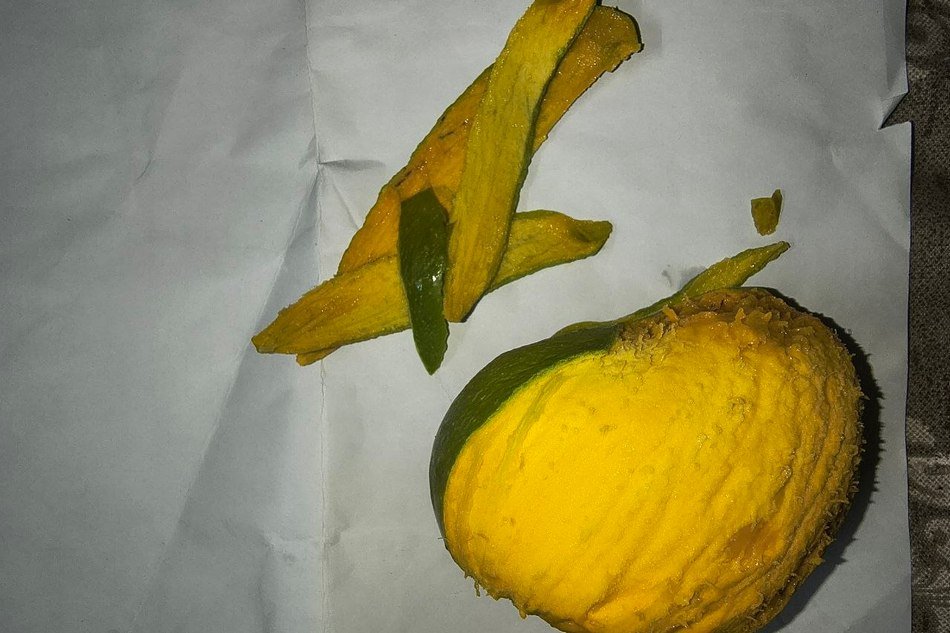 ಮಾವಿನ ಮರದಲ್ಲಿ ಹಣ್ಣು – ಸ್ವಾದ ಮತ್ತು ಸುವಾಸನೆ ವಿಜ್ಞಾನ