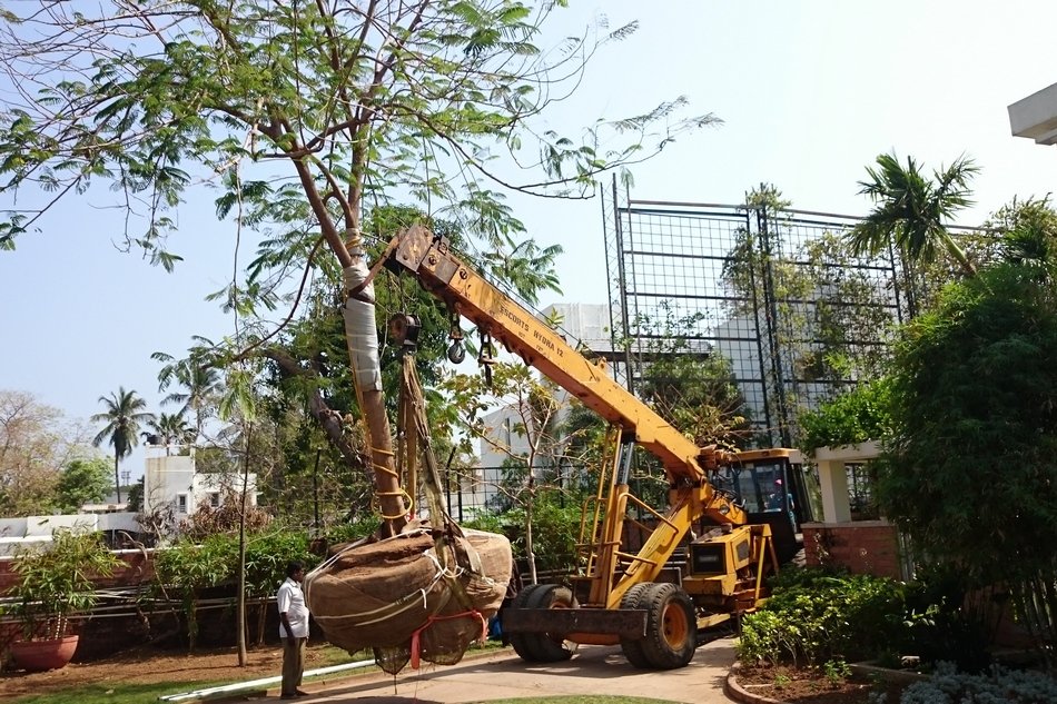 ಕ್ರೇನ್ ಸಹಾಯದಿಂದ ಮರ ಸ್ಥಳಾಂತರ – ಬೆಂಗಳೂರು ಮೆಟ್ರೋ ಕಾಮಗಾರಿ