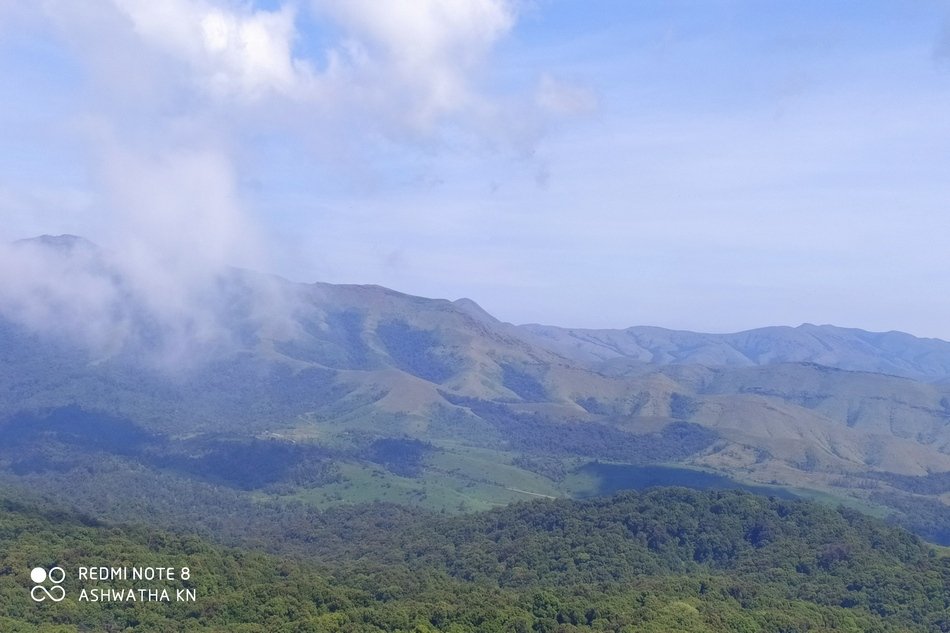 ಮಣ್ಣು ಮತ್ತು ಜೀವವೈವಿಧ್ಯವನ್ನು ತೋರಿಸುವ ನೈಸರ್ಗಿಕ ಪರಿಸರ