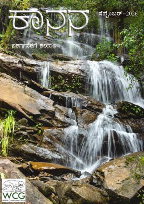 water-falls-kaanana-kannada