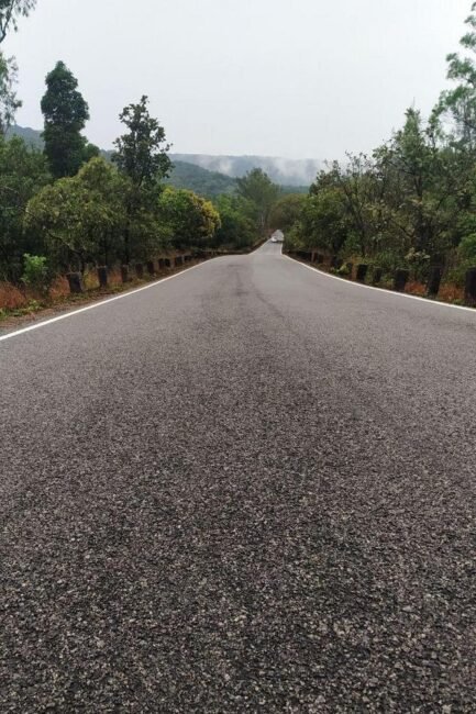 road crossing the forest 